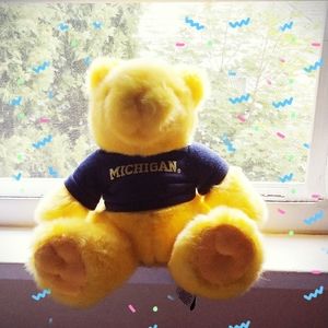 Medium sized stuffed animal bear